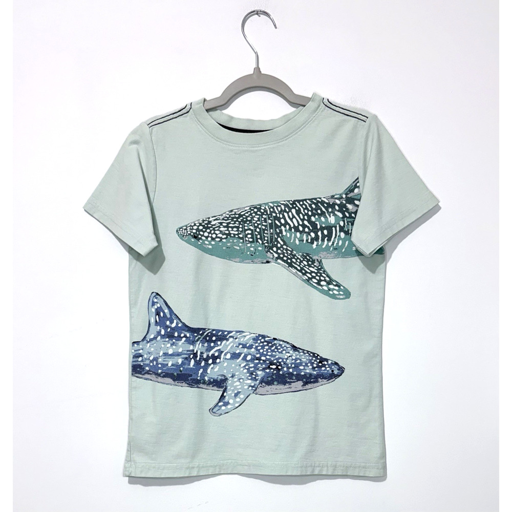Tea Collection Whale Shark Graphic Tee Boys T Shirt 8 Mint Short Sleeve Logo